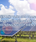 LẮP ĐIỆN MẶT TRỜI CHO TRANG TRẠI – HƯỚNG ĐI TIẾT KIỆM VÀ BỀN VỮNG CHO NÔNG NGHIỆP HIỆN ĐẠI