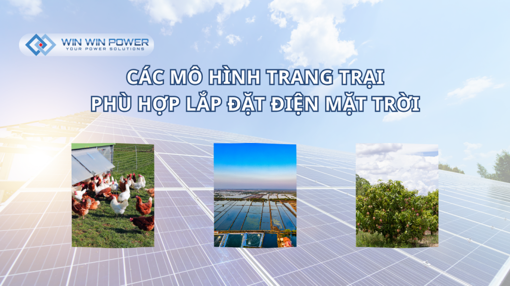 Mô hình trang trại phù hợp lắp đặt điện mặt trời